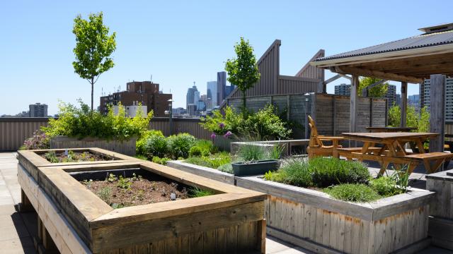 bestek urban farming