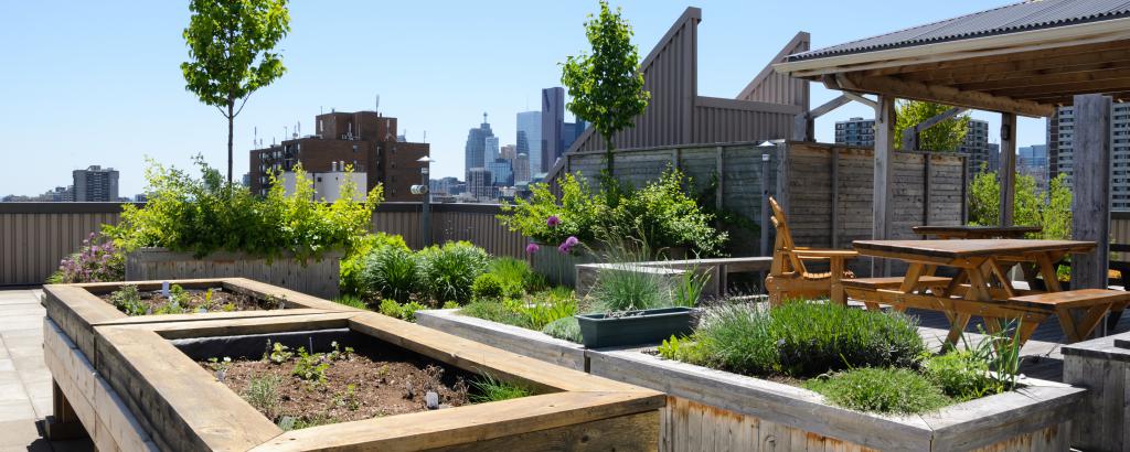 Urban farming